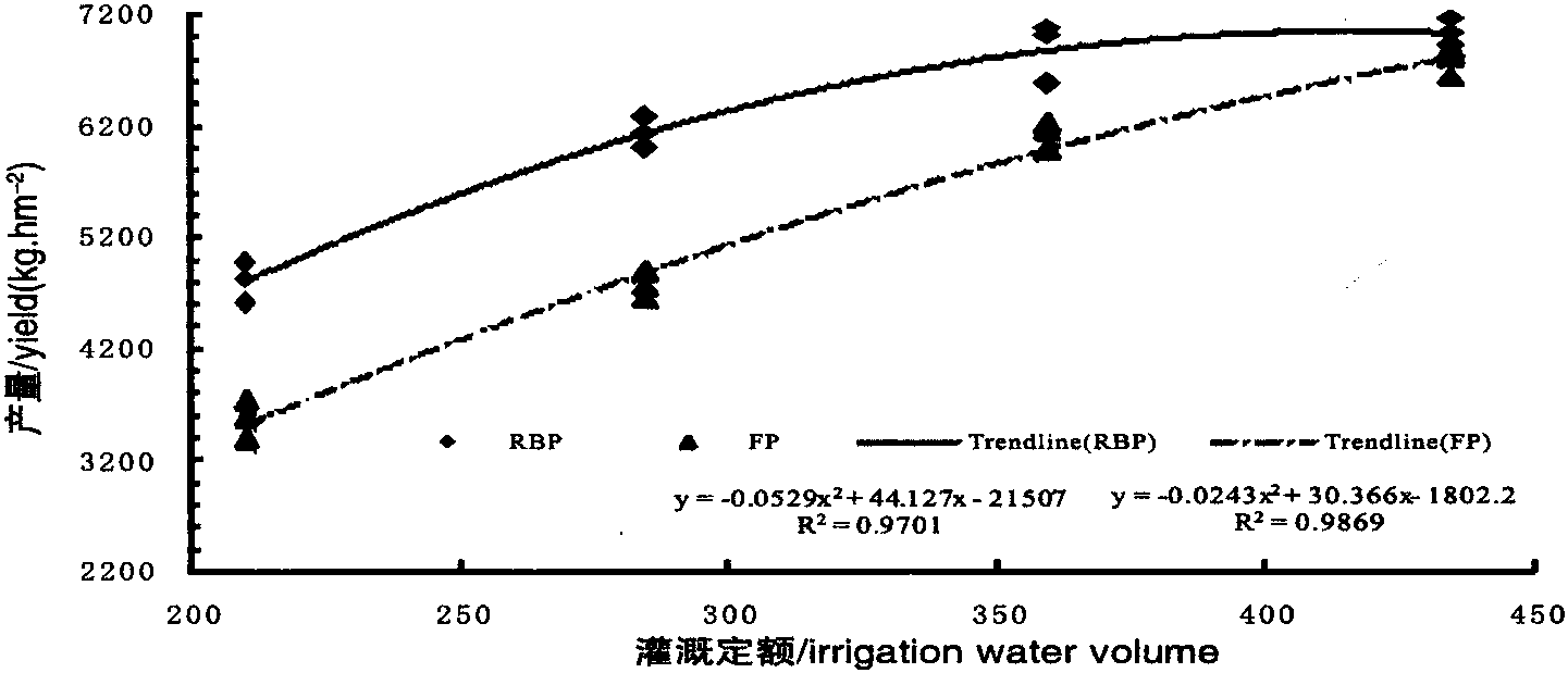 河西綠洲灌區(qū)壟作春小麥的產(chǎn)量效應(yīng)及節(jié)水效果研究